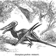 Illustration for article titled Strange 19th Century Drawings of Dinosaurs and Other Extinct Animals